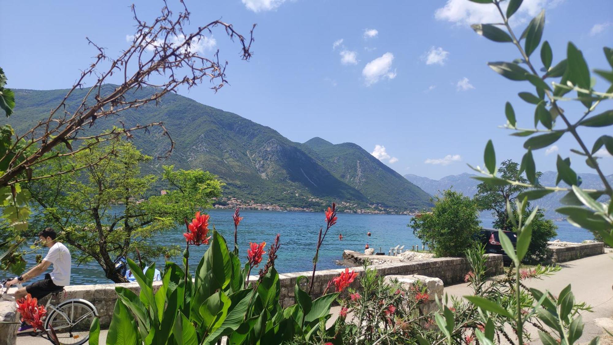 Kadena Apartments Kotor Bagian luar foto